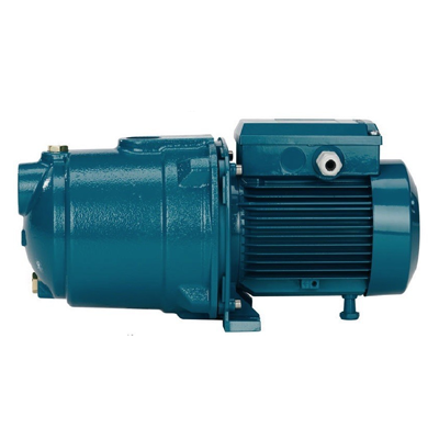 ELETTROPOMPA CALPEDA HP.1 NGLM 4/110 220V AUTOADESCANTE